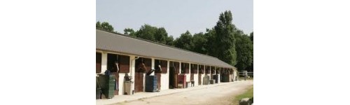 Entretien de l'écurie