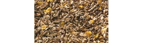 Compléments alimentaires